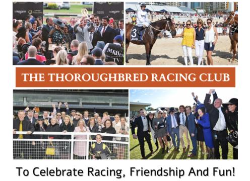 product image for Thoroughbred Racing Club