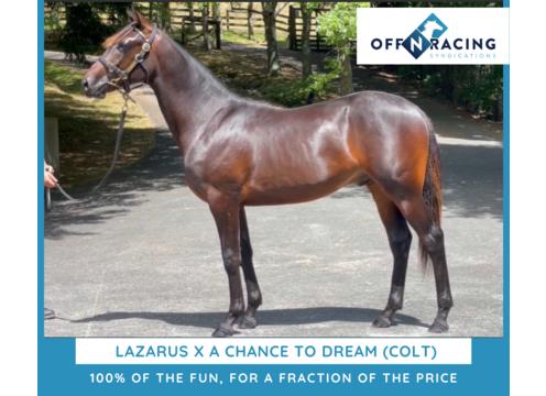 gallery image of Lazarus x A Chance To Dream <small><b>Race Name:</b> What A Lad</small>
