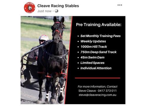 gallery image of Cleave Racing Stables